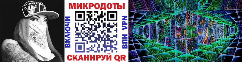 Купить  Сковородино  Галлюциногенные грибы мицелий 